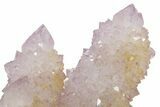 Sparkling Cactus Amethyst Crystal Cluster - South Africa #364568-1